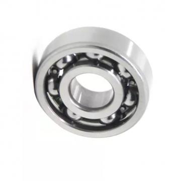 Non-Standard Deep Groove Ball Bearings 6203-3/4 6204-5/8 6204-3/4 6204-7/8 6205-1 6305-1 6207-1.25 1013-2RS-3/4 1013-2RS-1 1003-2RS