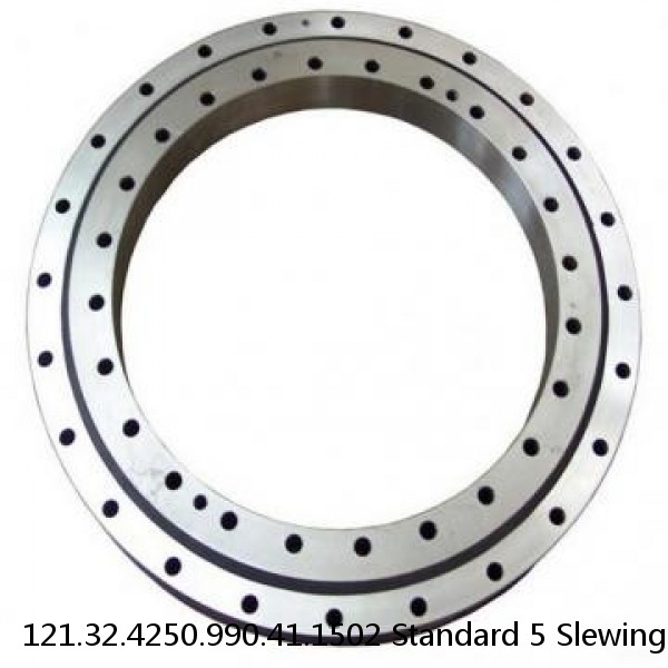 121.32.4250.990.41.1502 Standard 5 Slewing Ring Bearings
