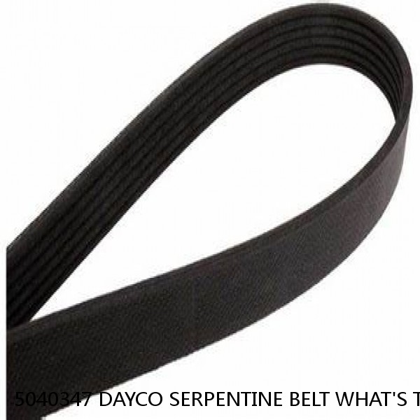 5040347 DAYCO SERPENTINE BELT WHAT'S THE BEST PRICE ON BELTS