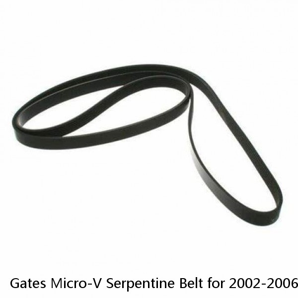 Gates Micro-V Serpentine Belt for 2002-2006 Toyota Camry 2.4L L4 Accessory ml (Fits: Toyota)