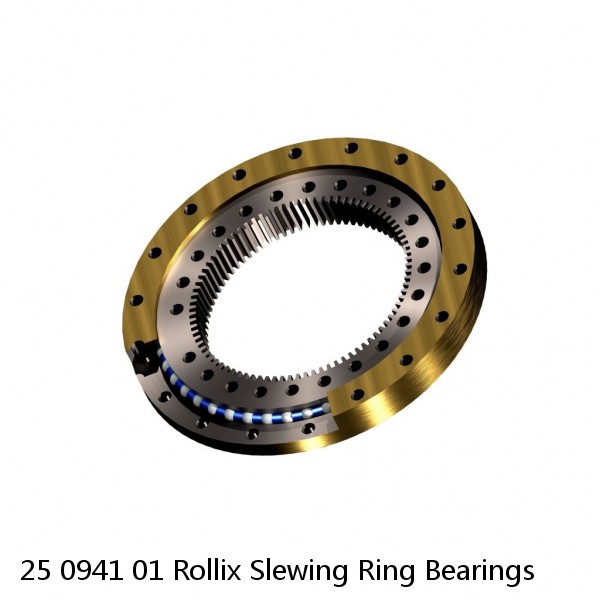 25 0941 01 Rollix Slewing Ring Bearings #1 small image