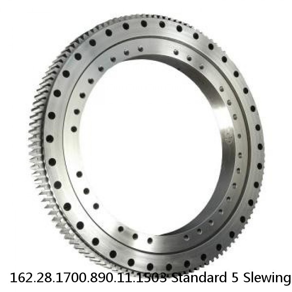 162.28.1700.890.11.1503 Standard 5 Slewing Ring Bearings #1 small image