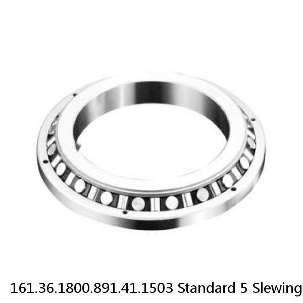 161.36.1800.891.41.1503 Standard 5 Slewing Ring Bearings #1 small image