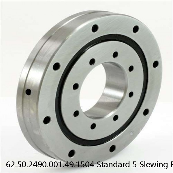62.50.2490.001.49.1504 Standard 5 Slewing Ring Bearings #1 small image
