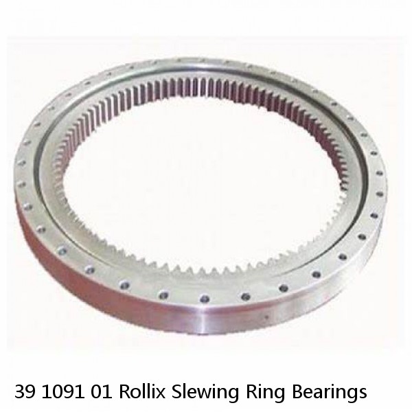 39 1091 01 Rollix Slewing Ring Bearings #1 small image