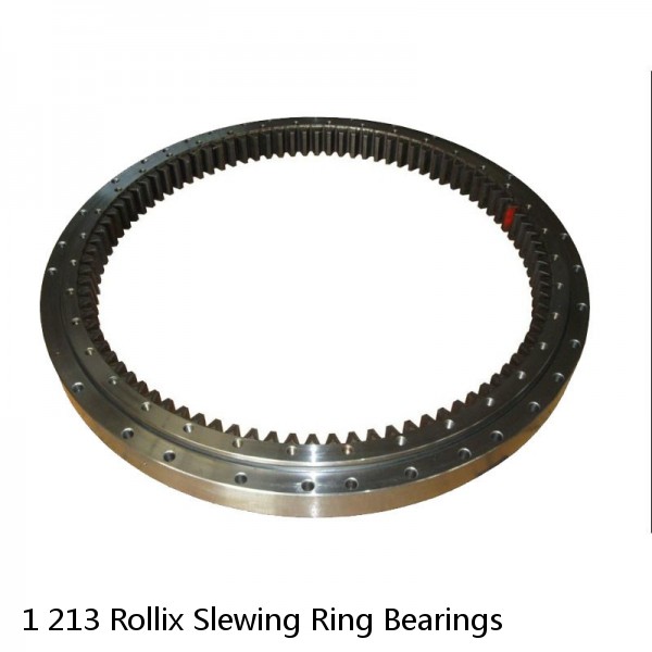 1 213 Rollix Slewing Ring Bearings #1 small image