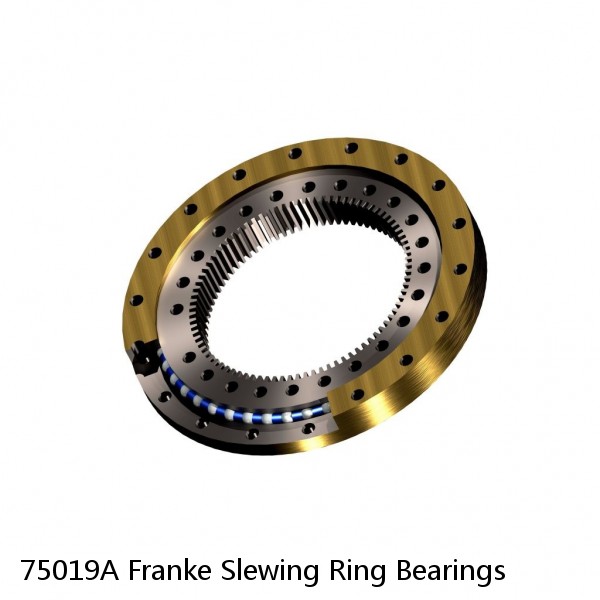 75019A Franke Slewing Ring Bearings