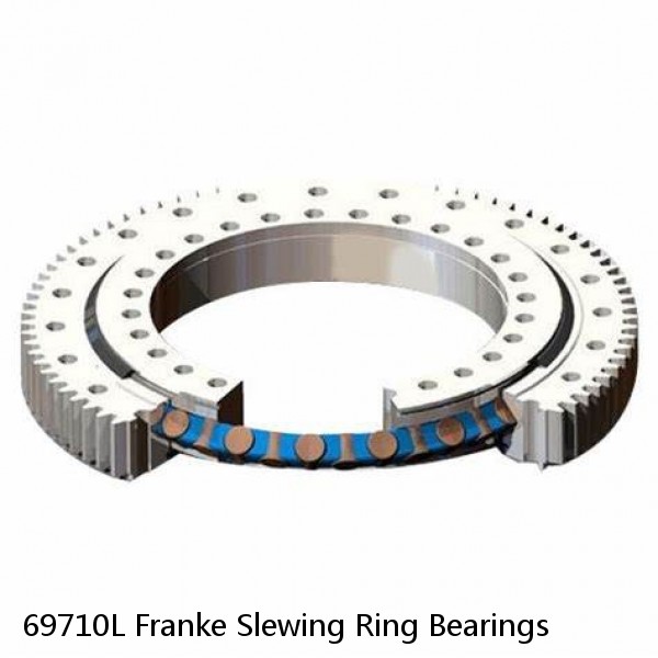 69710L Franke Slewing Ring Bearings #1 small image