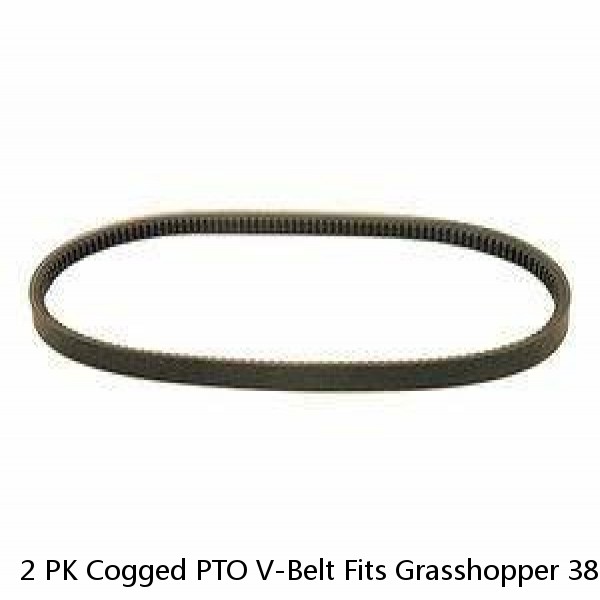 2 PK Cogged PTO V-Belt Fits Grasshopper 381914 381914G Simplicity 1717393SM #1 small image