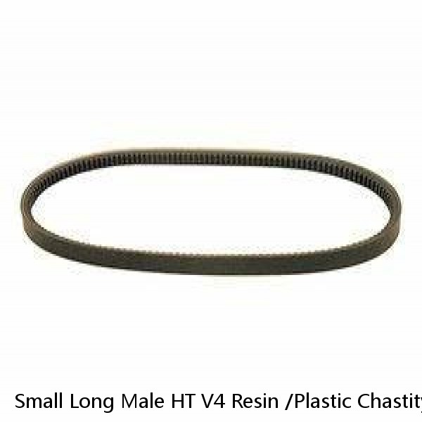 Small Long Male HT V4 Resin /Plastic Chastity Cage Device Belt Lock Ring BDSM US #1 small image