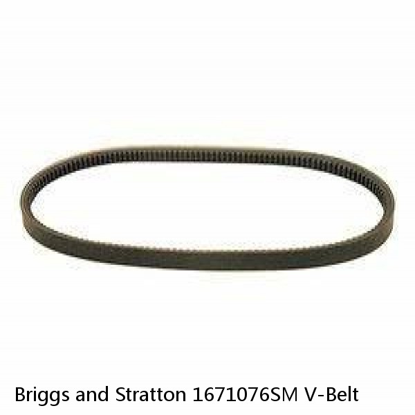 Briggs and Stratton 1671076SM V-Belt #1 small image