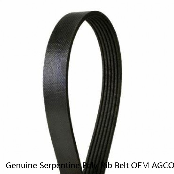 Genuine Serpentine Poly Rib Belt OEM AGCO K080575 / 5080575 / 202-0951 #1 small image