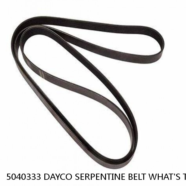 5040333 DAYCO SERPENTINE BELT WHAT'S THE BEST PRICE ON BELTS