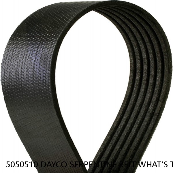 5050510 DAYCO SERPENTINE BELT WHAT'S THE BEST PRICE ON BELTS