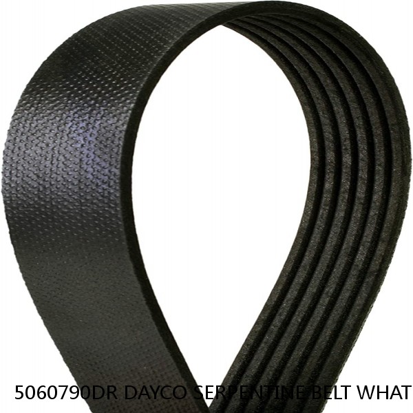 5060790DR DAYCO SERPENTINE BELT WHAT'S THE BEST PRICE ON BELTS #1 small image