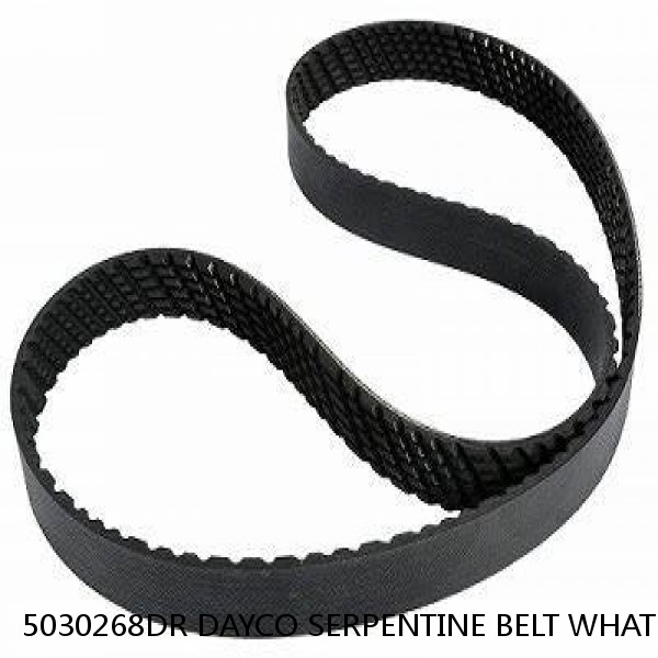 5030268DR DAYCO SERPENTINE BELT WHAT'S THE BEST PRICE ON BELTS #1 small image