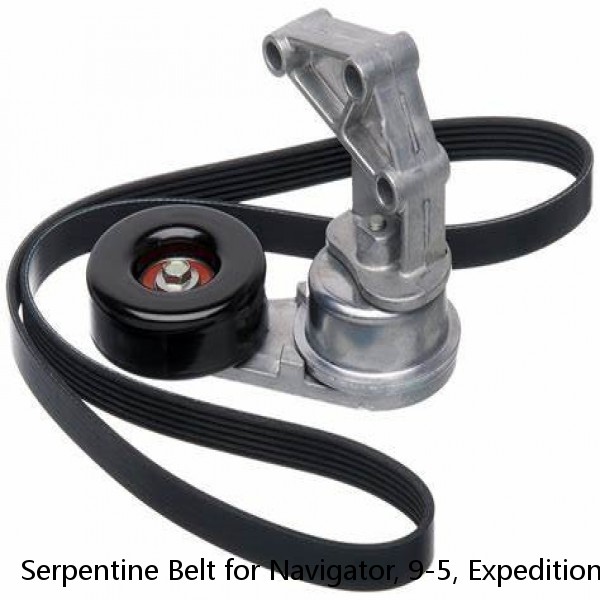 Serpentine Belt for Navigator, 9-5, Expedition, F-150, F-250, F-350+More K061031 #1 small image