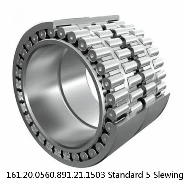 161.20.0560.891.21.1503 Standard 5 Slewing Ring Bearings #2 image