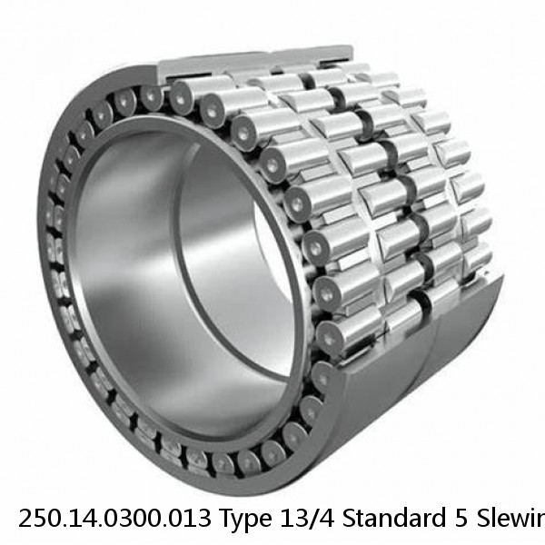 250.14.0300.013 Type 13/4 Standard 5 Slewing Ring Bearings #2 image