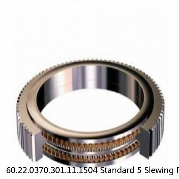 60.22.0370.301.11.1504 Standard 5 Slewing Ring Bearings #2 image