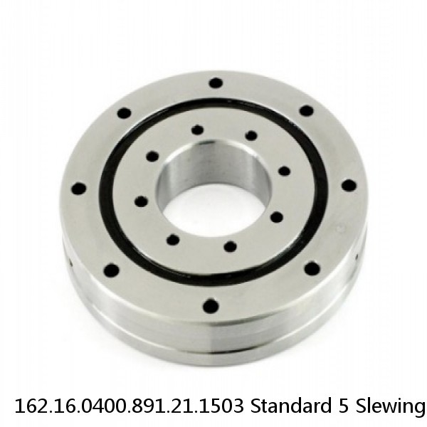 162.16.0400.891.21.1503 Standard 5 Slewing Ring Bearings #2 image