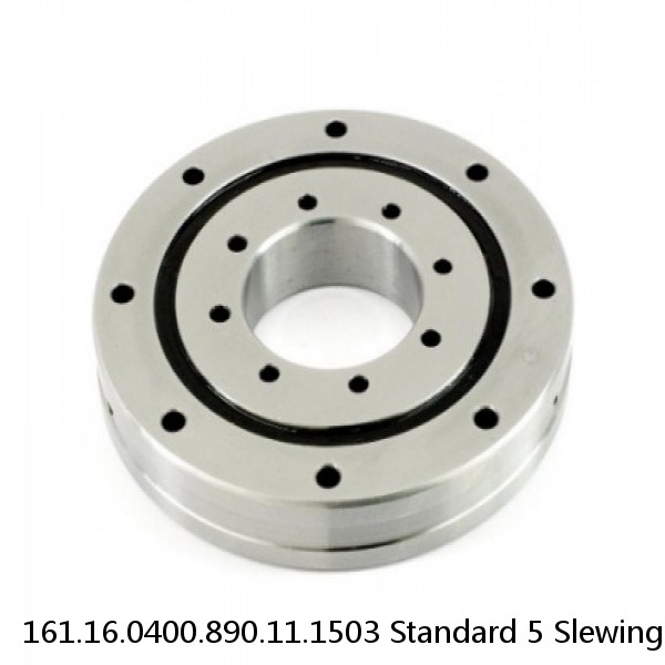 161.16.0400.890.11.1503 Standard 5 Slewing Ring Bearings #2 image