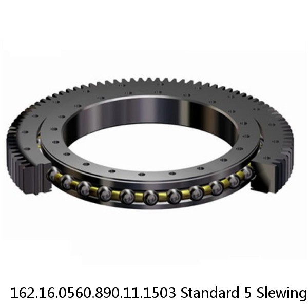 162.16.0560.890.11.1503 Standard 5 Slewing Ring Bearings #2 image