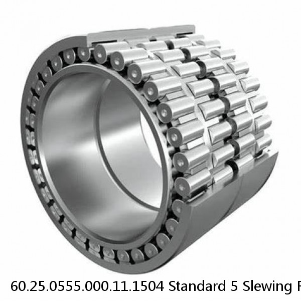 60.25.0555.000.11.1504 Standard 5 Slewing Ring Bearings #2 image