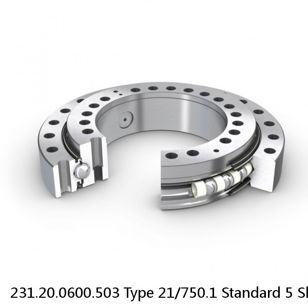 231.20.0600.503 Type 21/750.1 Standard 5 Slewing Ring Bearings #2 image