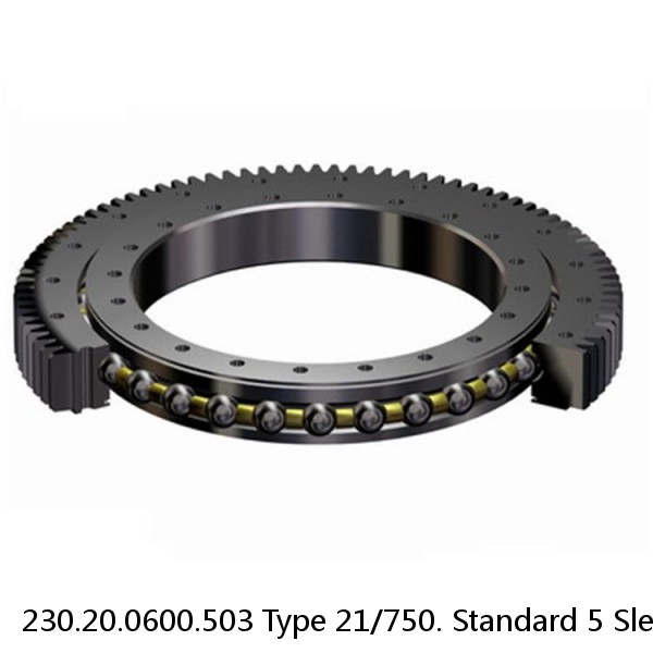 230.20.0600.503 Type 21/750. Standard 5 Slewing Ring Bearings #2 image