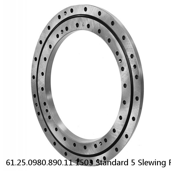 61.25.0980.890.11.1503 Standard 5 Slewing Ring Bearings #1 image