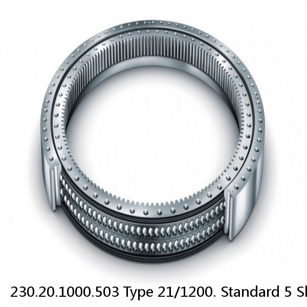 230.20.1000.503 Type 21/1200. Standard 5 Slewing Ring Bearings #1 image