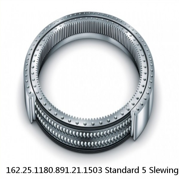 162.25.1180.891.21.1503 Standard 5 Slewing Ring Bearings #1 image