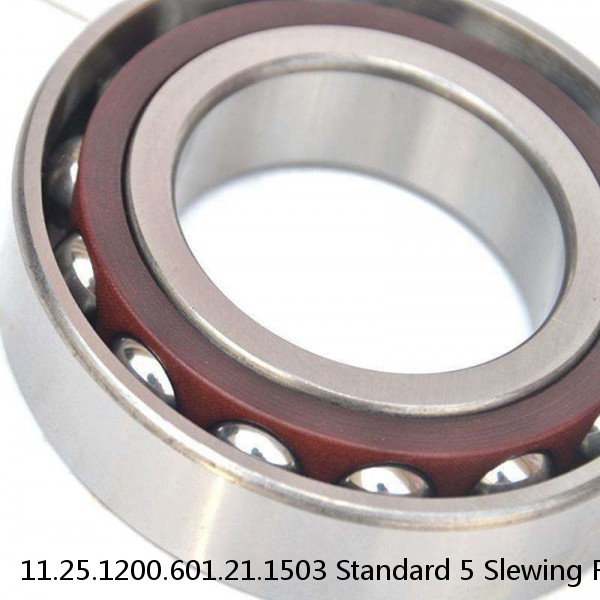 11.25.1200.601.21.1503 Standard 5 Slewing Ring Bearings #1 image