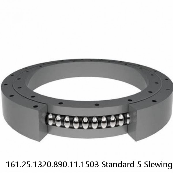 161.25.1320.890.11.1503 Standard 5 Slewing Ring Bearings #1 image