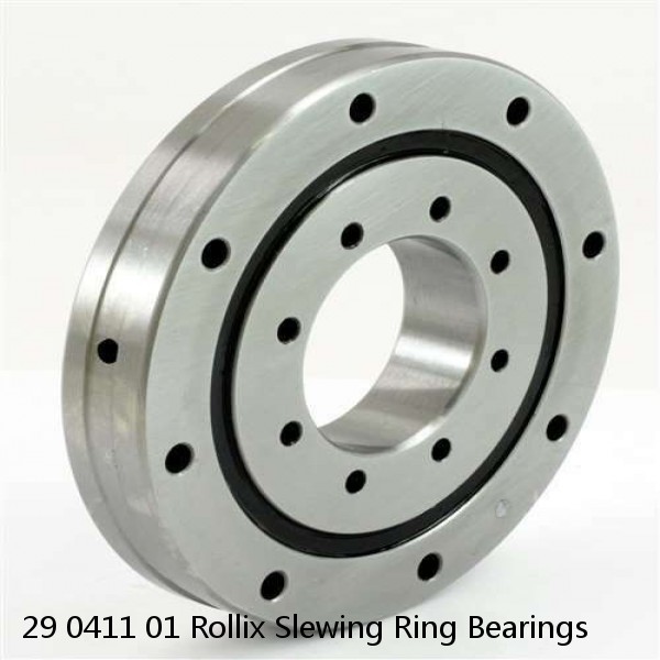 29 0411 01 Rollix Slewing Ring Bearings #1 image