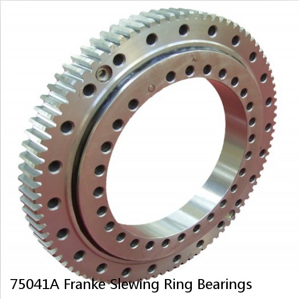 75041A Franke Slewing Ring Bearings #1 image