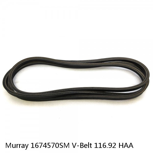 Murray 1674570SM V-Belt 116.92 HAA #1 image