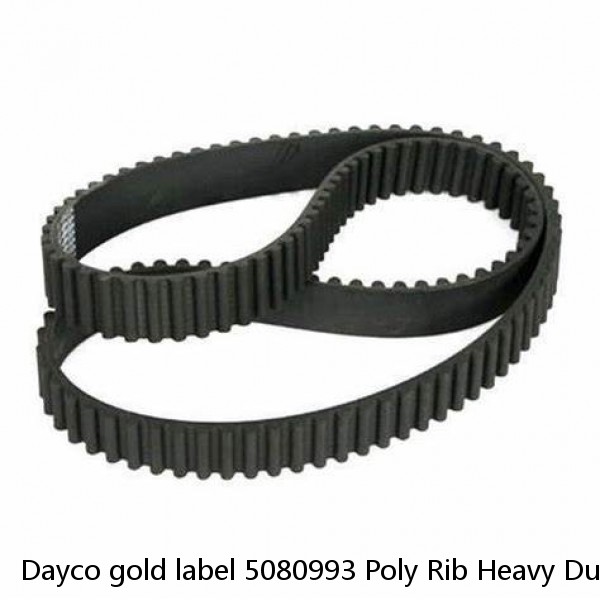 Dayco gold label 5080993 Poly Rib Heavy Duty Belt 8pk2520 ~ FORD F-150 5.4L #1 image