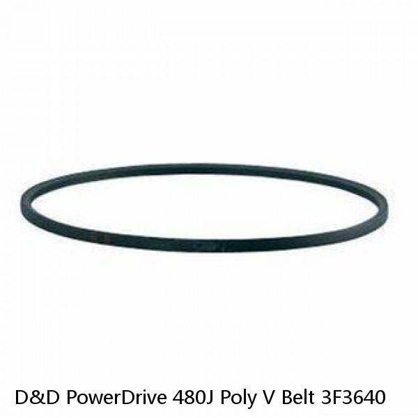 D&D PowerDrive 480J Poly V Belt 3F3640 #1 image