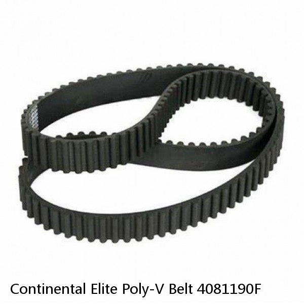 Continental Elite Poly-V Belt 4081190F #1 image