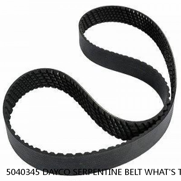 5040345 DAYCO SERPENTINE BELT WHAT'S THE BEST PRICE ON BELTS #1 image