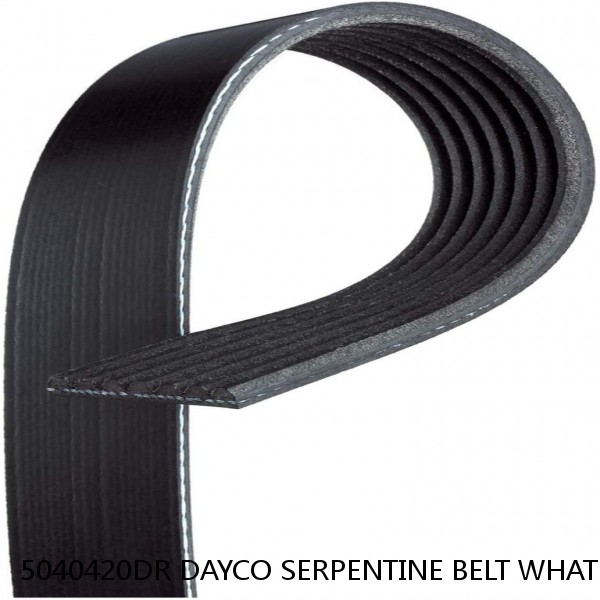 5040420DR DAYCO SERPENTINE BELT WHAT'S THE BEST PRICE ON BELTS #1 image